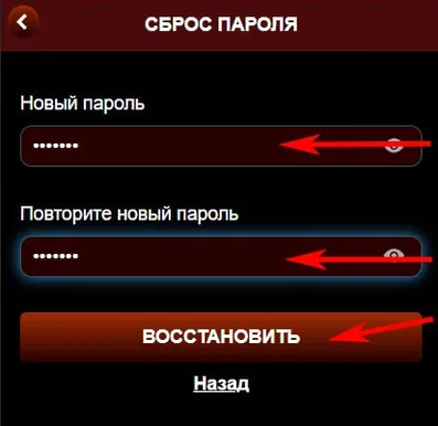 Установка нового пароля после подтверждения кода